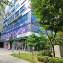 세이유치원 | 하남 미사 애견카페/강아지유치원 세이멍카페