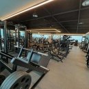 머슬뷰티 이미지