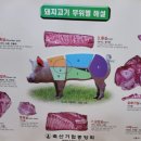 생고기백화점 이미지