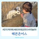 신의한수농장 | 헤븐온어스 아이랑 가기좋은 용인체험농장 풀코스 후기