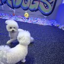 유니독스 이미지