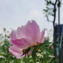 운도농장 네이버블로그
