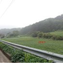 청풍목장 이미지