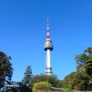 한양도성(남산구간) 이미지