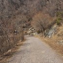 남파랑길 | [진해 하드워킹 트레킹 코스] 남파랑길 8코스 : 진해를 두루누비 걸은 후기