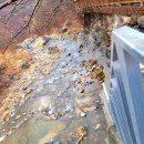 별빛촌 | [영천펜션] 계곡 바로 앞! 9개월 아기랑 '별빛촌펜션' 힐링 후기 (영천독채펜션)