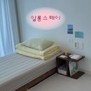 알롱스테이 | 제주도 여성전용 게스트하우스 &lt;알롱스테이&gt; 4인실, 1인실 후기