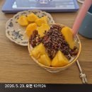위클리피크닉 | Day1306-1312 / 독일음대 교회음악과 성악 위클리 후기, 독일음대생 일상, 독일 맥도날드 신메뉴 후기...