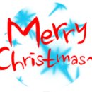 두부네 펫살롱 이미지