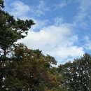 경주시서면보건지소 | 경기도가볼만한곳 남양주 단풍명소 운길산 수종사 풍경