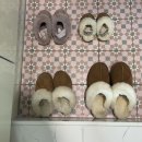 베러 키즈 풀빌라 이미지