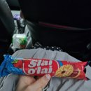 동부-3 | 발리 신혼여행 코스 3일차 동부투어 라항안스위트 등 후기