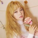 순수세정 이미지