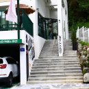 멍스타 | 담양애견동반펜션 강아지와 함께한 담양 멍스타 여행 후기