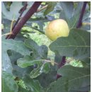 병현농장 이미지