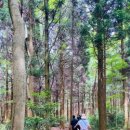 제주우리요양병원 이미지