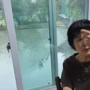 수암노래방 Daum카페