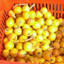 무랑민박 이미지