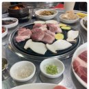 도니야돈 이미지