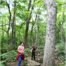 소양강둘레길 3코스 이미지