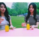 스피카(SPICA) 이미지