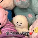 (주)타이어프로 강릉송정점 | 고양이를 곁들인 직장인 일상(18)