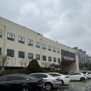 국민짱 | 대전 국민생활관 수영 후기 수준별 레인 구분 짱