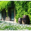 서일농장 이미지