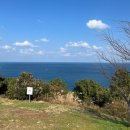 푸른밤 그별아래 | 제주도 푸른 밤 그 별 아래