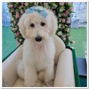 아이조아요양보호소 부산점 이미지