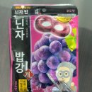 넌김에 다뽑아 | [마쓰야마 쇼핑] 일본 간식 추천 (마쓰야마에서 먹은 거 산 거 다 적어~)