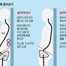 디오엠 이미지