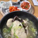 명지농장 | 7월 15일 초복! 합정역 맛집 마포오리농장에서 능이삼계탕으로 몸보신한 후기