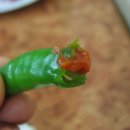 뚜꺼비식당 - 창원시 성산구 신촌동 | 뚜꺼비식당