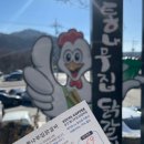 [맛집로그 EP.13] 춘천 통나무집 닭갈비 내돈내산 후기
