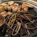 술술식당