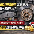 월드카닥터하우스 이미지