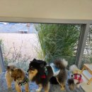 하이, 멍 이미지