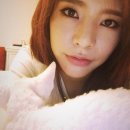 써니펫 이미지