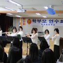 숙지초 이미지