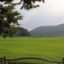 퇴천 마을회관 이미지