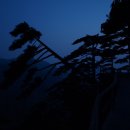 황산반점