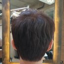 더(The)잘헤어
