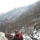집다리골자연휴양림 Daum카페