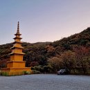 숲속나들이길 | 경남 창원 단풍명소 성주사(강아지동반)숲속나들이길,황토곰숲길 후기