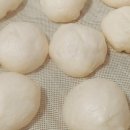 815제빵소 네이버블로그