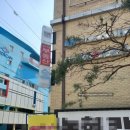 부동산금성공인중개사사무소 이미지