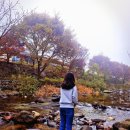 단양하늘꿈 | [단양 숙소 추천|내돈내산] 파워 J 단양 하늘꿈펜션 리뷰 계곡/소선암자연휴양림 예약 대기 후기 포함