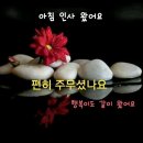 상쾌한아침