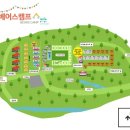 베어스 캠프